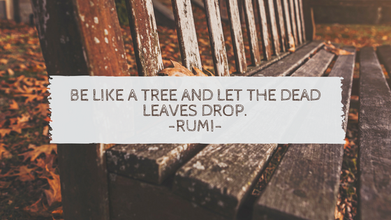 Be like a tree and let the dead leaves drop.